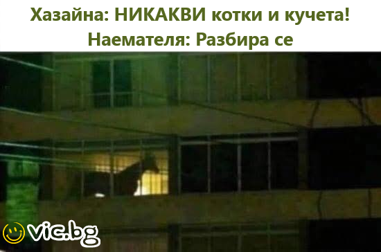Хазайна: НИКАКВИ котки и кучета! Наемателя: Разбира се