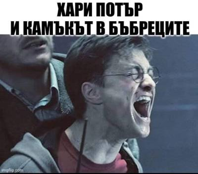 Хари Потър и камъкът в бъбреците