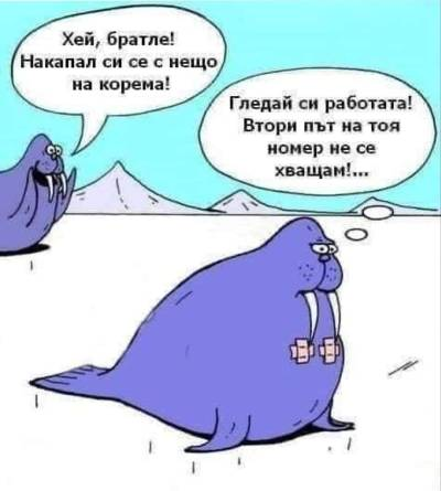 Хей, братле! Накапал си се с нещо на корема! Гледай си работата! Втори път на тоя номер не се хващам!...