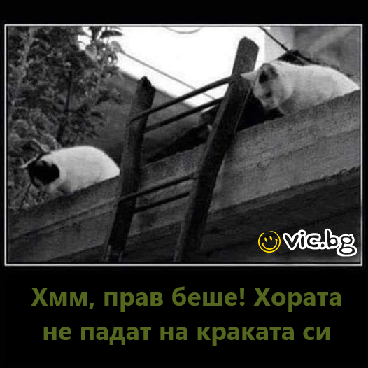 Хмм, прав беше! Хората не падат на краката си