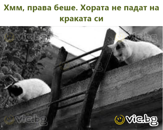 Хмм, права беше. Хората не падат на краката си