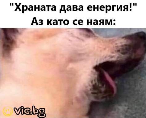 "Храната дава енергия!" Аз като се наям: