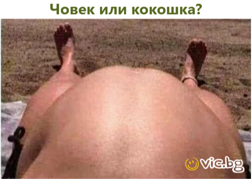 Човек или кокошка?