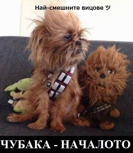 Чубака - началото