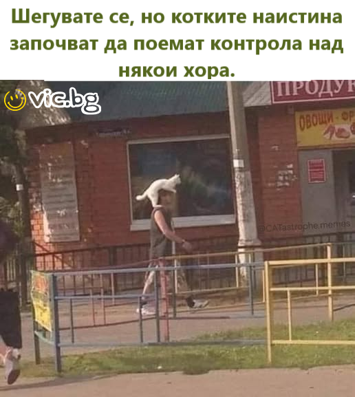 Шегувате се, но котките наистина започват да поемат контрола над някои хора.