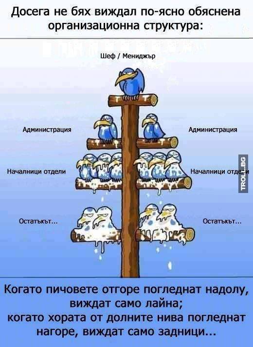 Когато шефовете погледнат надолу виждат само лайна, а когато работниците погледнат нагоре виждат само задници 