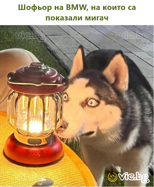 Шофьор на BMW, на които са показали мигач