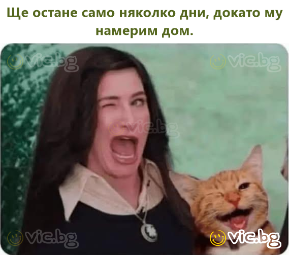 Ще остане само няколко дни, докато му намерим дом.