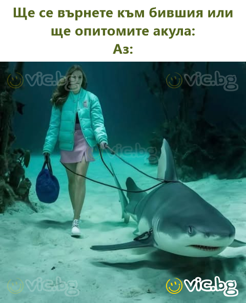 Ще се върнете към бившия или ще опитомите акула: Аз: