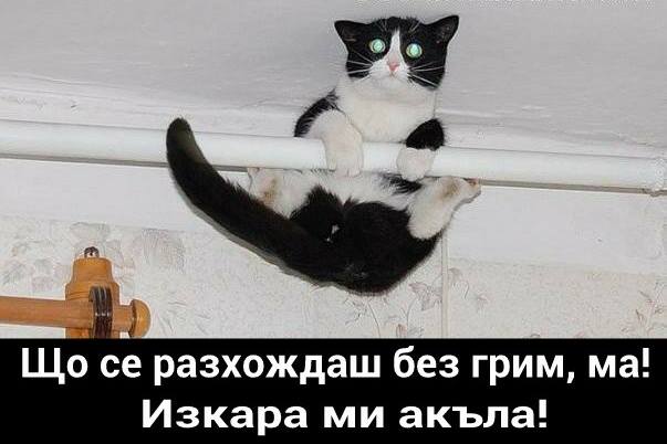 Що се разхождаш без грим ма, изкара ми акъла