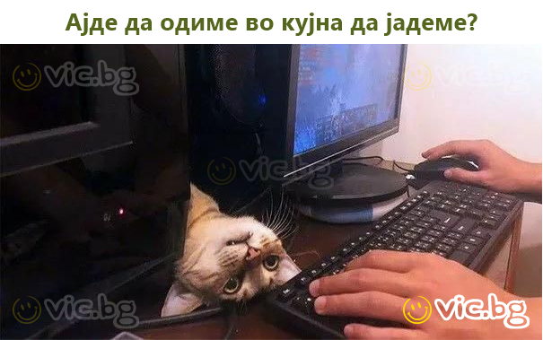 Ајде да одиме во кујна да јадеме?