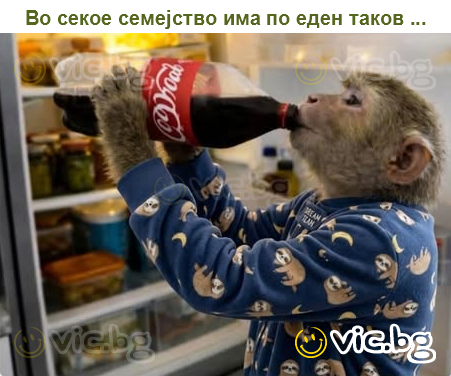 Во секое семејство има по еден таков ...
