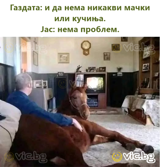 Газдата: и да нема никакви мачки или кучиња.  Јас: нема проблем.