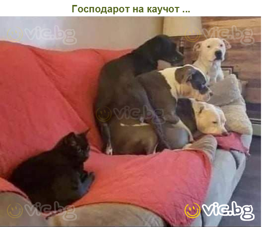 Господарот на каучот ...