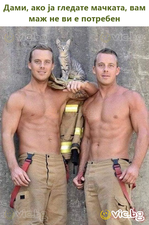 Дами, ако ја гледате мачката, вам маж не ви е потребен