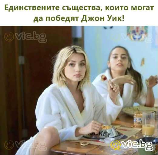 Единствените суштества што можат да го победат Џон Вик!