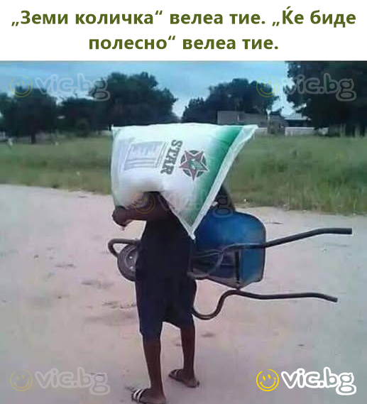 „Земи количка“ велеа тие. „Ќе биде полесно“ велеа тие.