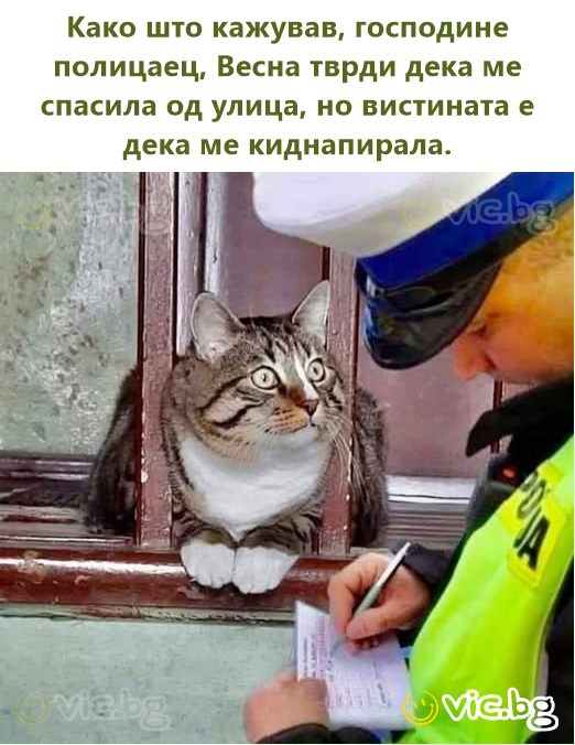 Како што кажував, господине полицаец, Весна тврди дека ме спасила од улица, но вистината е дека ме киднапирала.