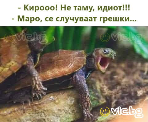 - Кирооо! Не таму, идиot!!! - Маро, се случуваат грешки...