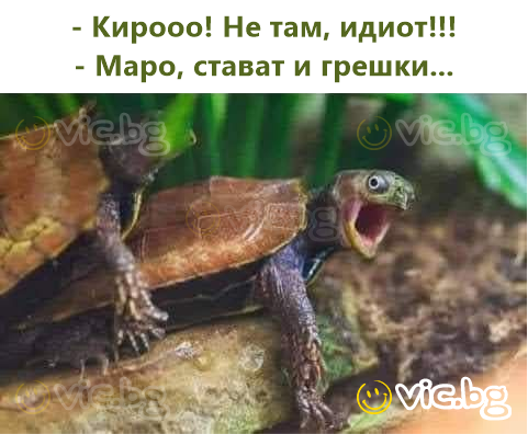 - Кирооо! Не таму, идиot!!! - Маро, се случуваат грешки...
