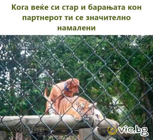 Кога веќе си стар и барањата кон партнерот ти се значително намалени