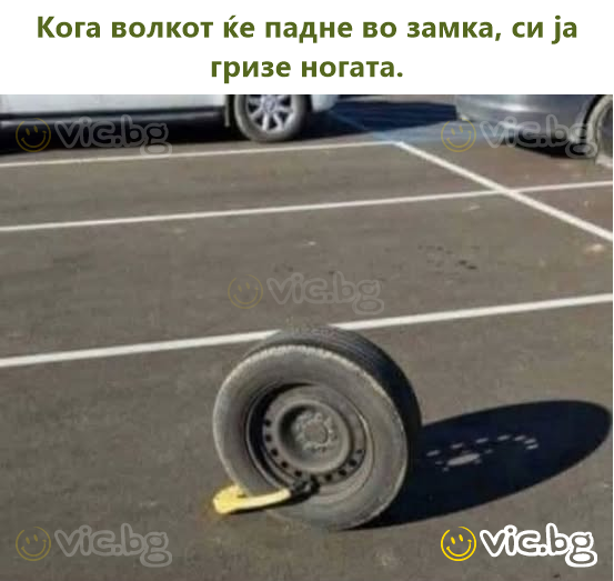 Кога волкот ќе падне во замка, си ја гризе ногата.