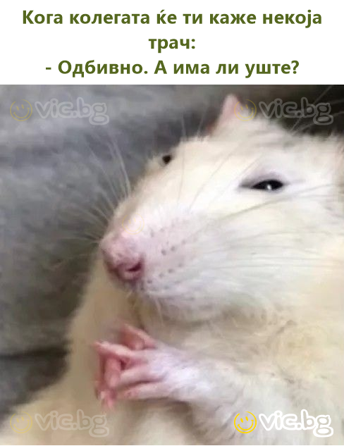 Кога колегата ќе ти каже некоја трач: - Одбивно. А има ли уште?
