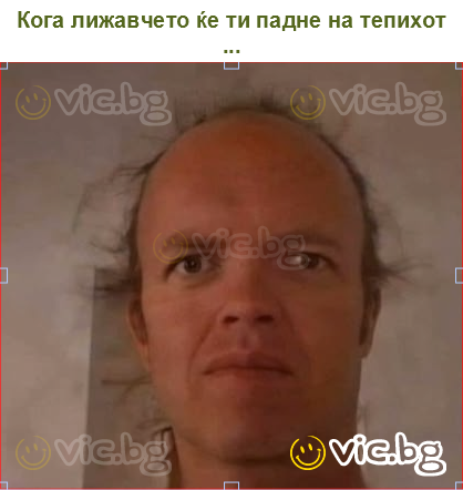 Кога лижавчето ќе ти падне на тепихот ...