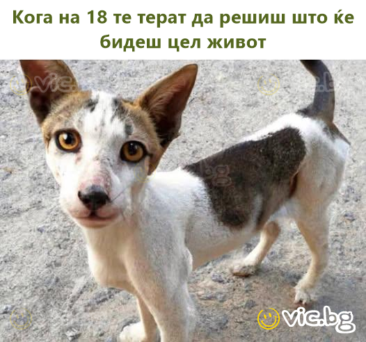 Кога на 18 те терат да решиш што ќе бидеш цел живот