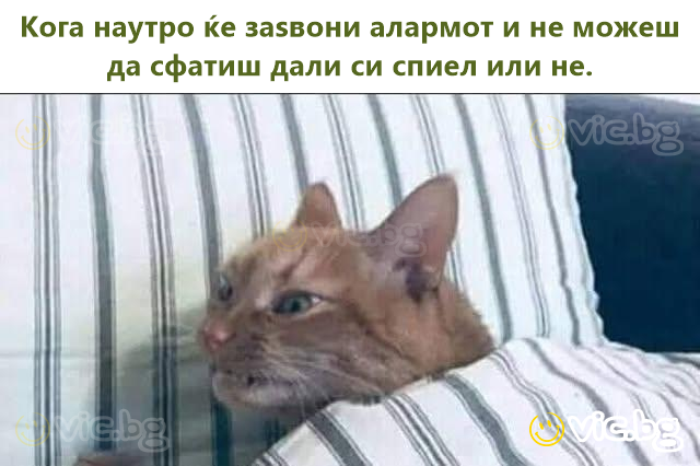 Кога наутро ќе заѕвони алармот и не можеш да сфатиш дали си спиел или не.