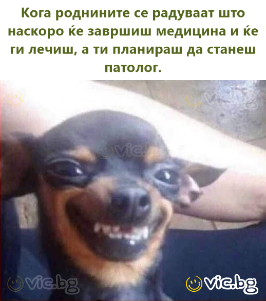 Кога роднините се радуваат што наскоро ќе завршиш медицина и ќе ги лечиш, а ти планираш да станеш патолог.