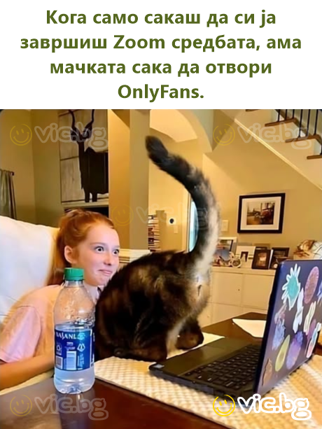 Кога само сакаш да си ја завршиш Zoom средбата, ама мачката сака да отвори OnlyFans.
