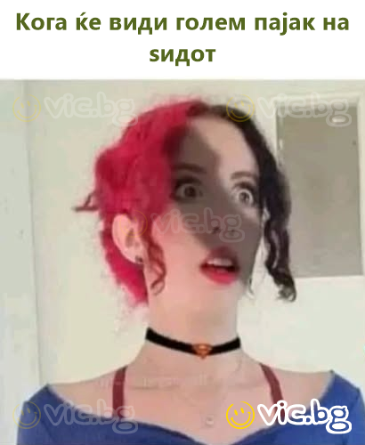 Кога ќе види голем пајак на ѕидот