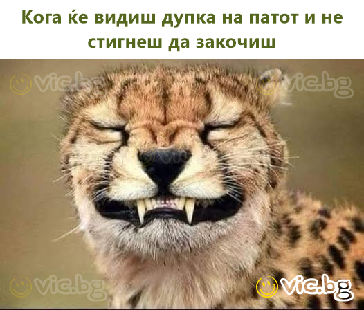 Кога ќе видиш дупка на патот и не стигнеш да закочиш