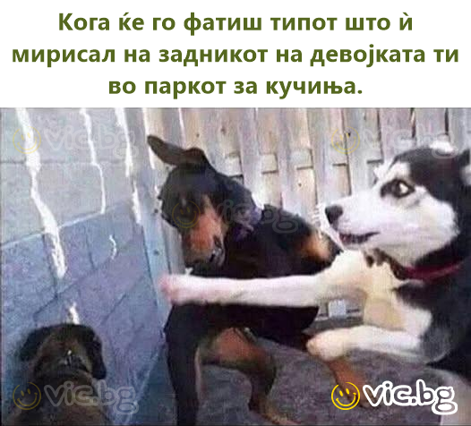 Кога ќе го фатиш типот што ѝ мирисал на задникот на девојката ти во паркот за кучиња.