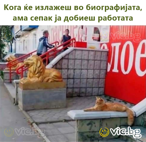 Кога ќе излажеш во биографијата, ама сепак ја добиеш работата