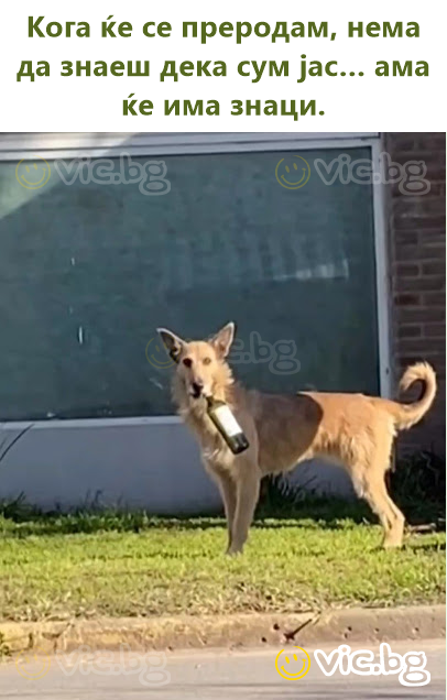 Кога ќе се преродам, нема да знаеш дека сум јас… ама ќе има знаци.