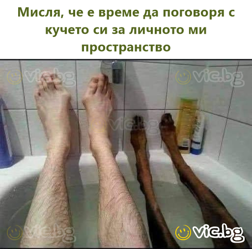 Мислам дека е време да поразговарам со кучето за мојот личен простор