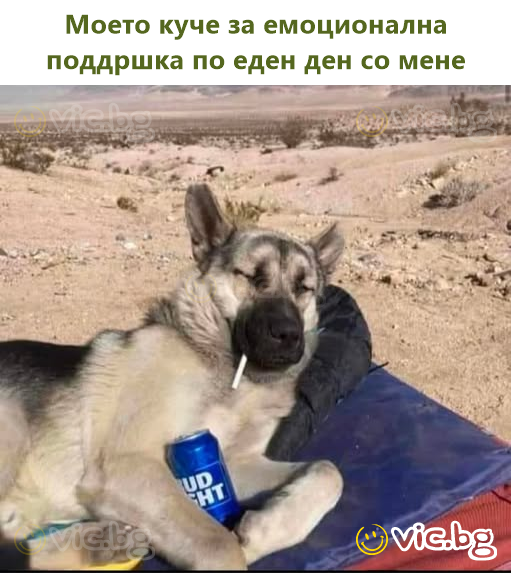 Моето куче за емоционална поддршка по еден ден со мене