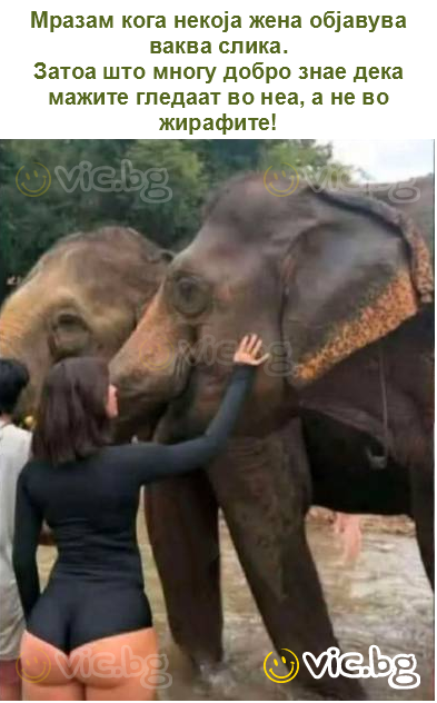 Мразам кога некоја жена објавува ваква слика.
Затоа што многу добро знае дека мажите гледаат во неа, а не во жирафите!