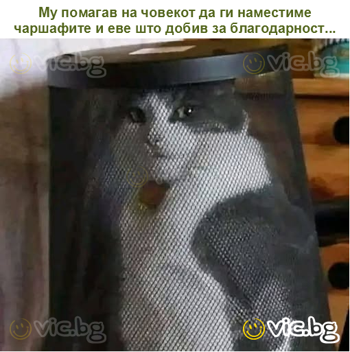 Му помагав на човекот да ги наместиме чаршафите и еве што добив за благодарност...