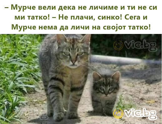 – Мурче вели дека не личиме и ти не си ми татко! – Не плачи, синко! Сега и Мурче нема да личи на својот татко!