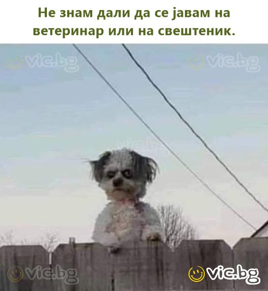 Не знам дали да се јавам на ветеринар или на свештеник.