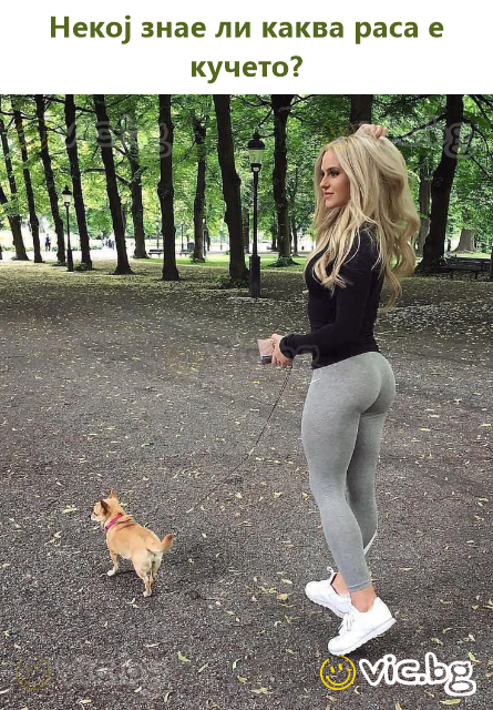Некој знае ли каква раса е кучето?