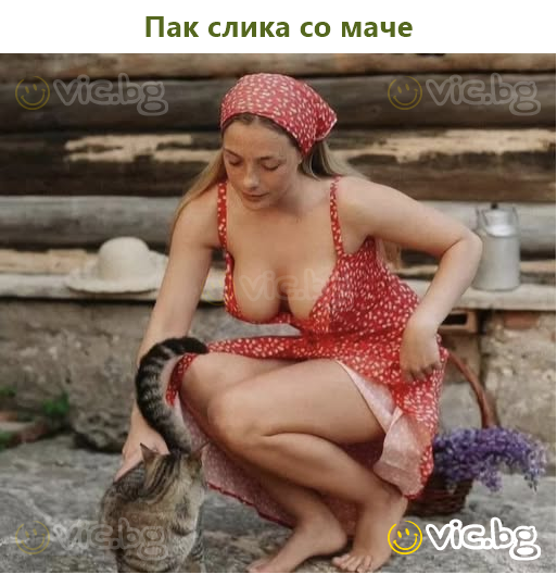 Пак слика со маче