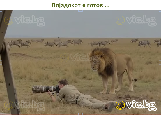 Појадокот е готов ...