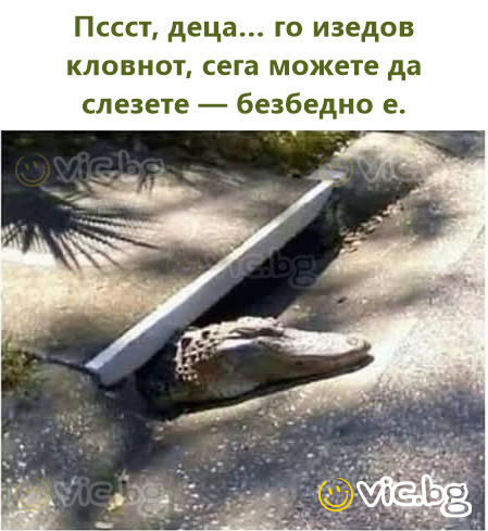 Пссст, деца… го изедов кловнот, сега можете да слезете — безбедно е.