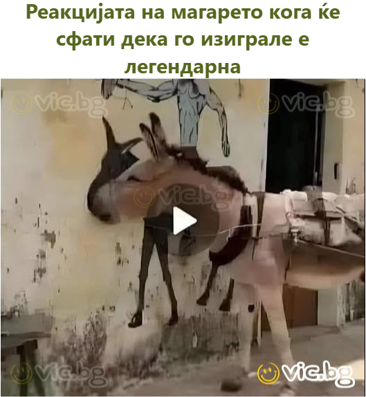 Реакцијата на магарето кога ќе сфати дека го изиграле е легендарна