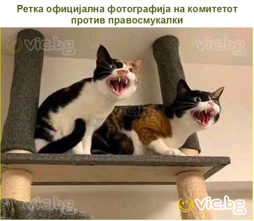 Ретка официјална фотографија на комитетот против правосмукалки
