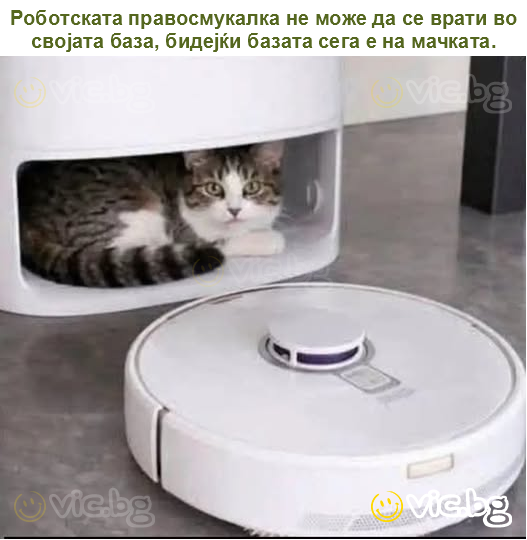 Роботската правосмукалка не може да се врати во својата база, бидејќи базата сега е на мачката.
